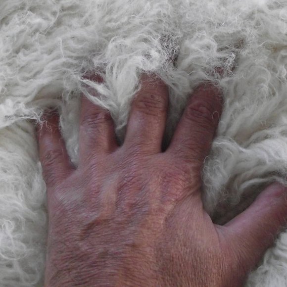 BRAND NEW 4x6 FLOKATI RUG | 100% WOOL | HAND-MADE | PREMIUM 3" PILE | OFF WHITE - Picture 4 of 5